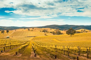 Adelaide