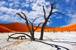 Deadvlei and Windhoek