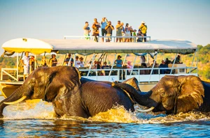 Chobe National Park
