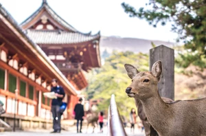 Nara