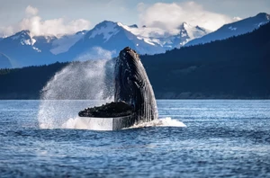 Inside Passage