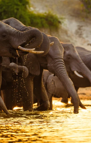 In Search of the Big Five