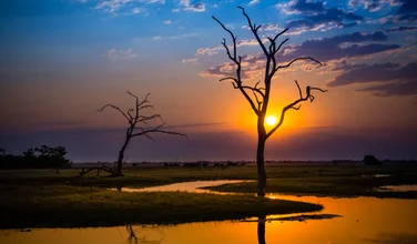 Chobe National Park