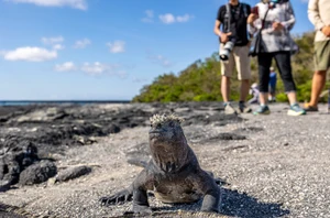 Santa Cruz Island