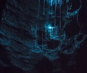 Glow-worm Caves Tour