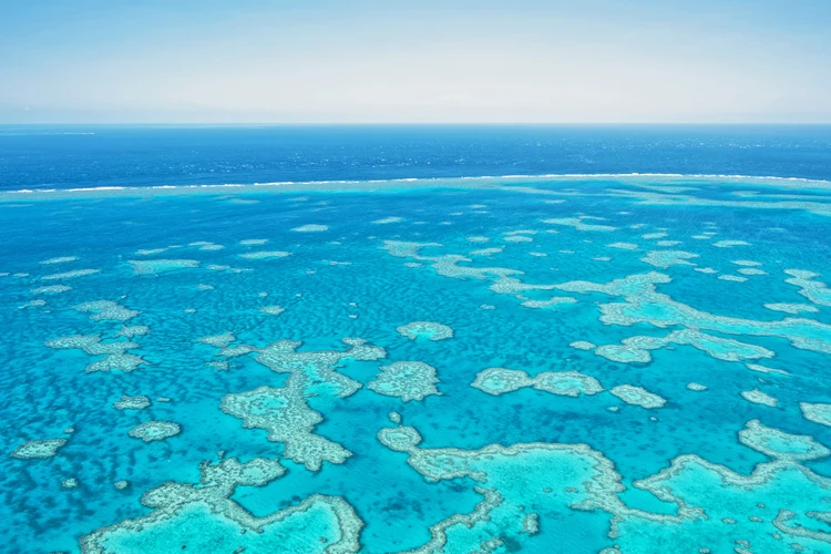 Reef & Whitehaven Spectacular Tour