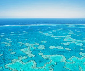 Reef & Whitehaven Spectacular Tour
