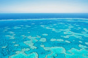 Great Barrier Reef