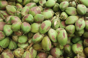 Chilaw