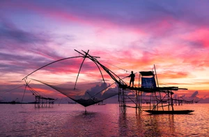 Cochin, Overnight