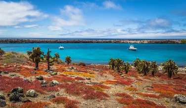 Discover the Galápagos