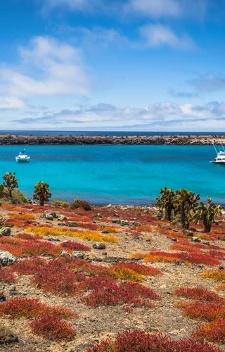 Discover the Galápagos