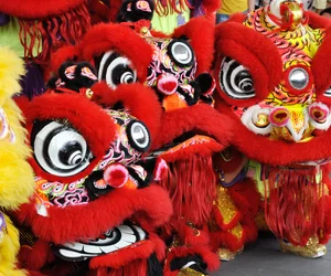 Tang Dynasty Dinner and Show
