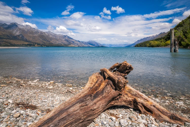 Dart River Jetboat Safari