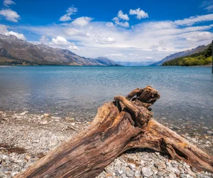Dart River Jetboat Safari