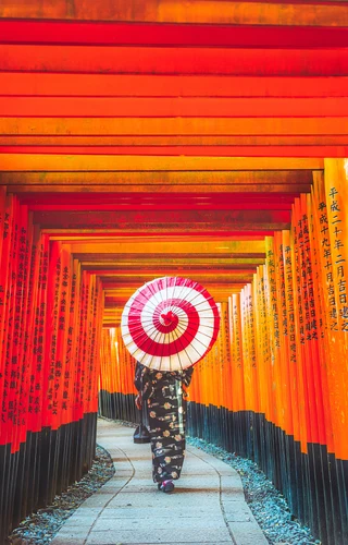 The Very Best of Japan