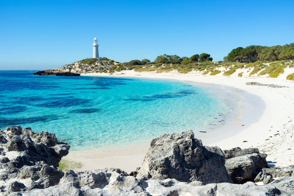 Rottnest Bay Seeker