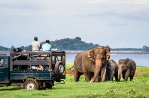 Dambulla and Minneriya National Park, 2 nights