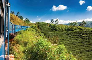 Nuwara Eliya, 2 nights