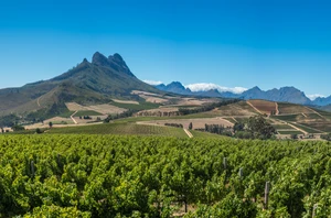 Franschhoek, 2 nights