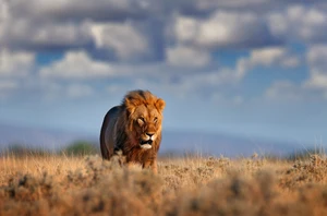Kruger National Park, 2 nights