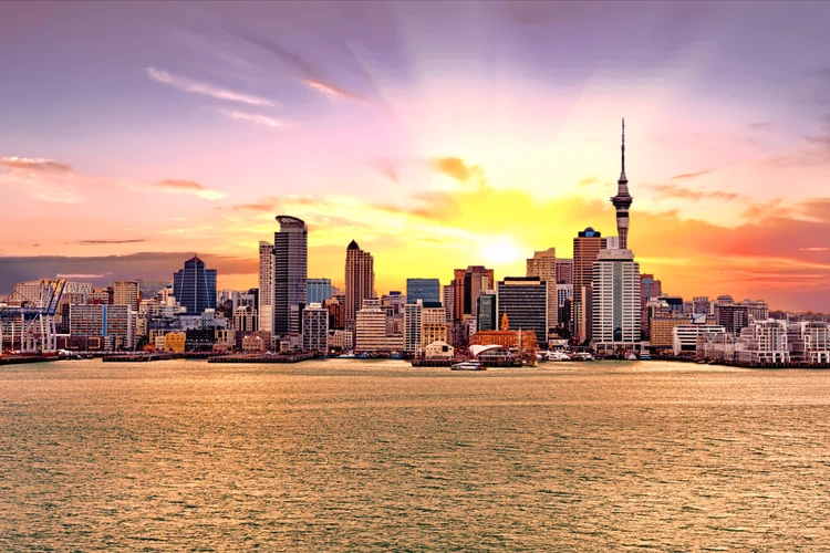 Harbour Dinner Cruise