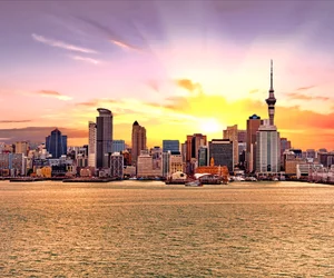 Harbour Dinner Cruise