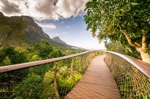 Cape Town and Kirstenbosch