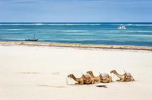 Diani Beach, Freedom Day