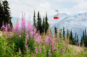 Whistler, 2 nights