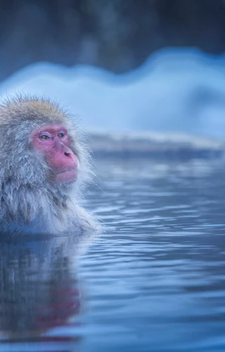 Wonders of Japan