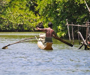 Madu River Boat Safari with a turtle hatchery visit