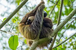Manuel Antonio National Park