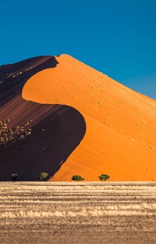 Namibian Rail Safari