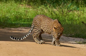 Sorabora Wewa and Maduru Oya National Park