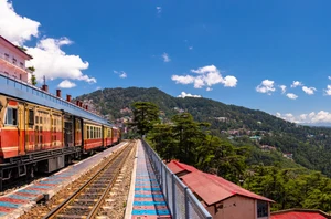 Shimla