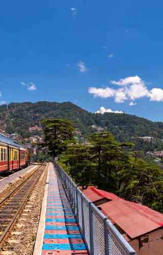 Shimla