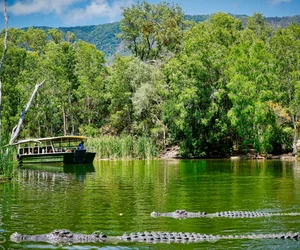 Hartley’s Crocodile Adventures