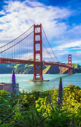 The Very Best of California