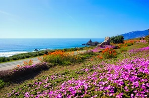 Monterey, 2 nights