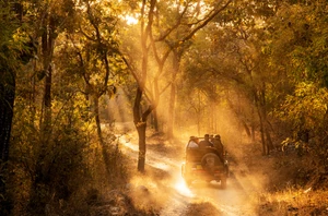 Kanha