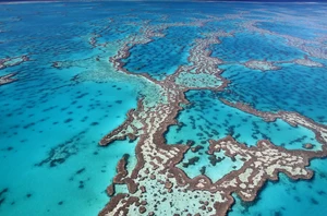 Cairns, 5 nights