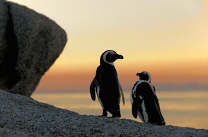 Cape Point