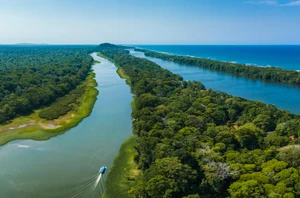Tortuguero National Park, 2 nights