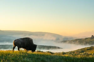 Yellowstone National Park, Big Sky, 2 nights