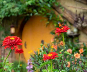 Hobbiton Movie Set Tour