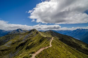 The Kepler Track