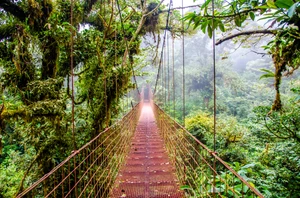 Monteverde, 2 nights