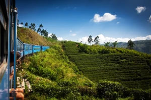 Nuwara Eliya, 2 nights