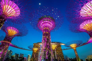 Depart Singapore